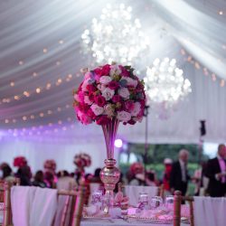 flowers-petals-leaf-blooming-plants-vegetations-fl-2025-06-05-17-44-48-utc-scaled